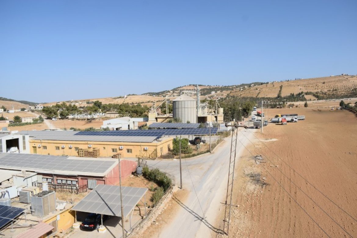 al-estisharyeh-poultry1